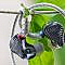 IEMs on a tree